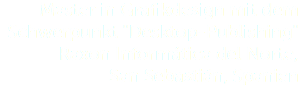 Master in Grafikdesign mit dem Schwerpunkt "Desktop-Publishing" Raxon Informática del Norte,  San Sebastián, Spanien